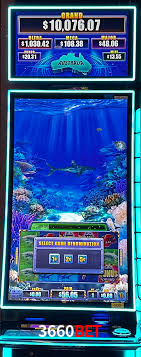 Descubra o Mundo do Cassino Online com 3660Bet